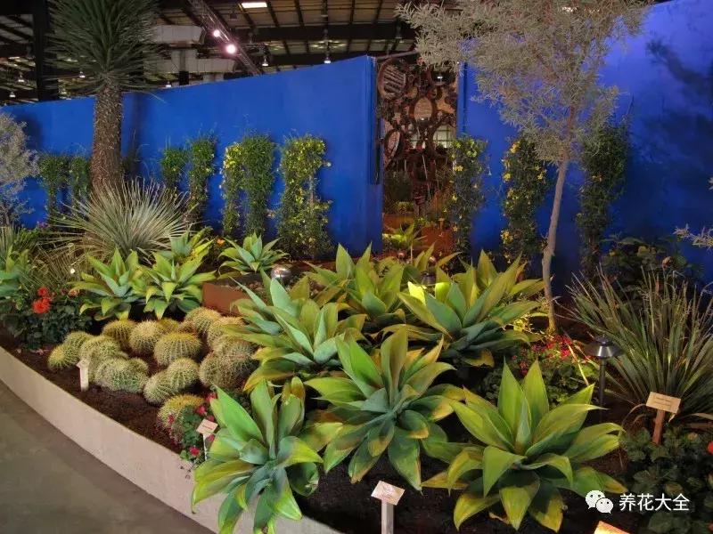 老外私家花园景观,国外多肉花园