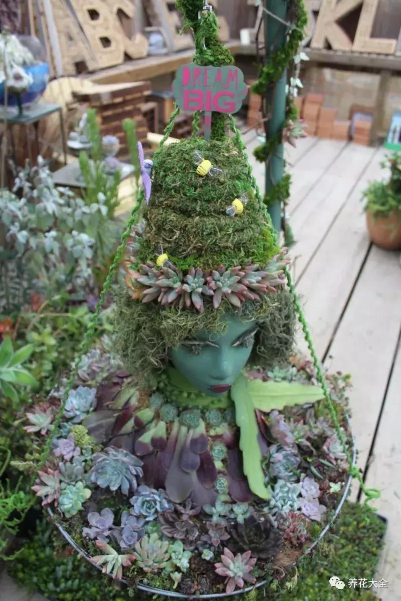 老外私家花园景观,国外多肉花园