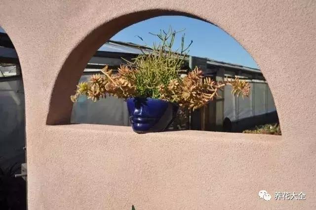 老外私家花园景观,国外多肉花园