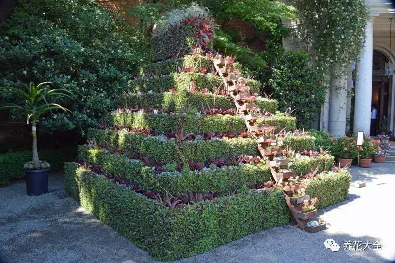 老外私家花园景观,国外多肉花园