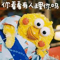 付辛博颖儿aa制始末,付辛博颖儿答谢宴