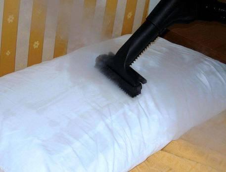 床垫久了长臭虫怎么用药杀死它,被子里螨虫多还是床垫螨虫多