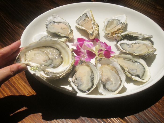 摩天轮下的女儿国酒吧，有酒有故事的江湖菜