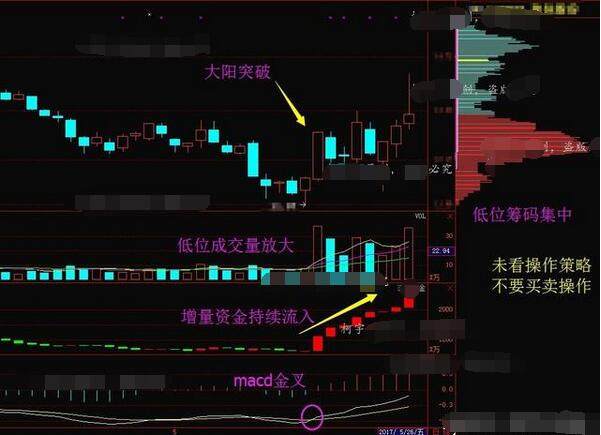 一位股市天才坦言,股票追涨技巧