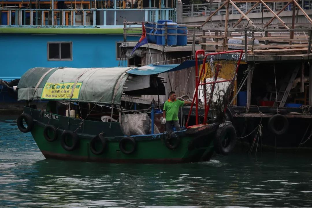 香港仔避风塘的介绍,香港仔避风塘图片