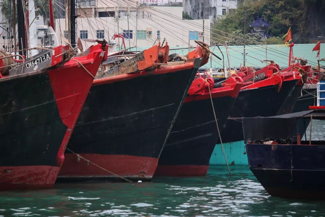 香港仔避风塘的介绍,香港仔避风塘图片