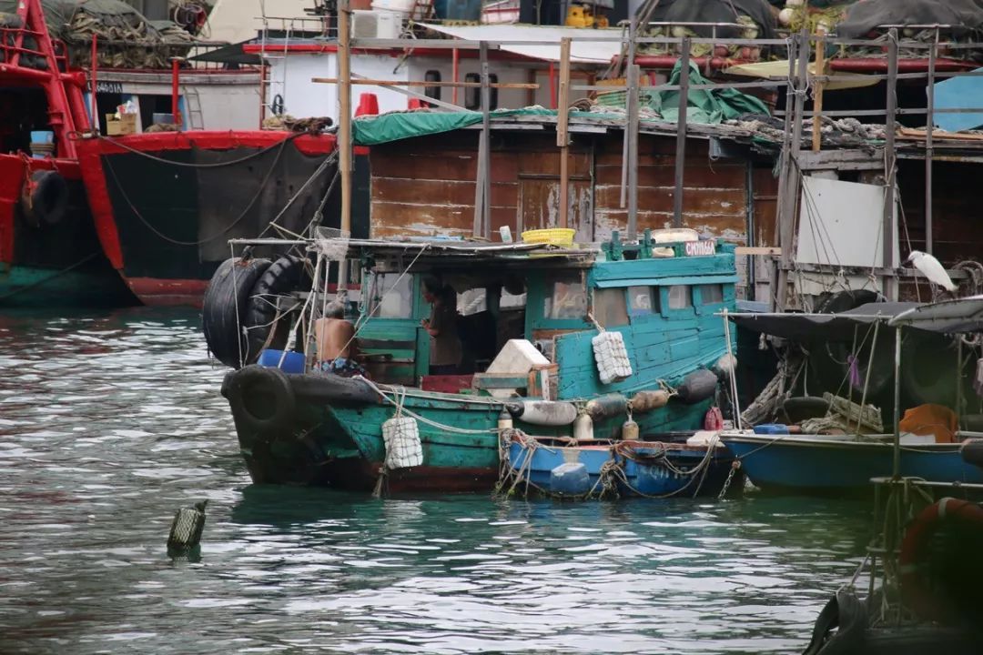 香港仔避风塘的介绍,香港仔避风塘图片
