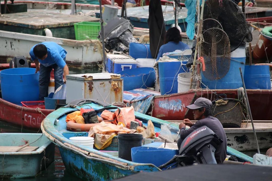 香港仔避风塘的介绍,香港仔避风塘图片