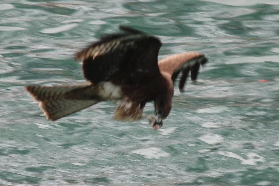 香港仔避风塘的介绍,香港仔避风塘图片