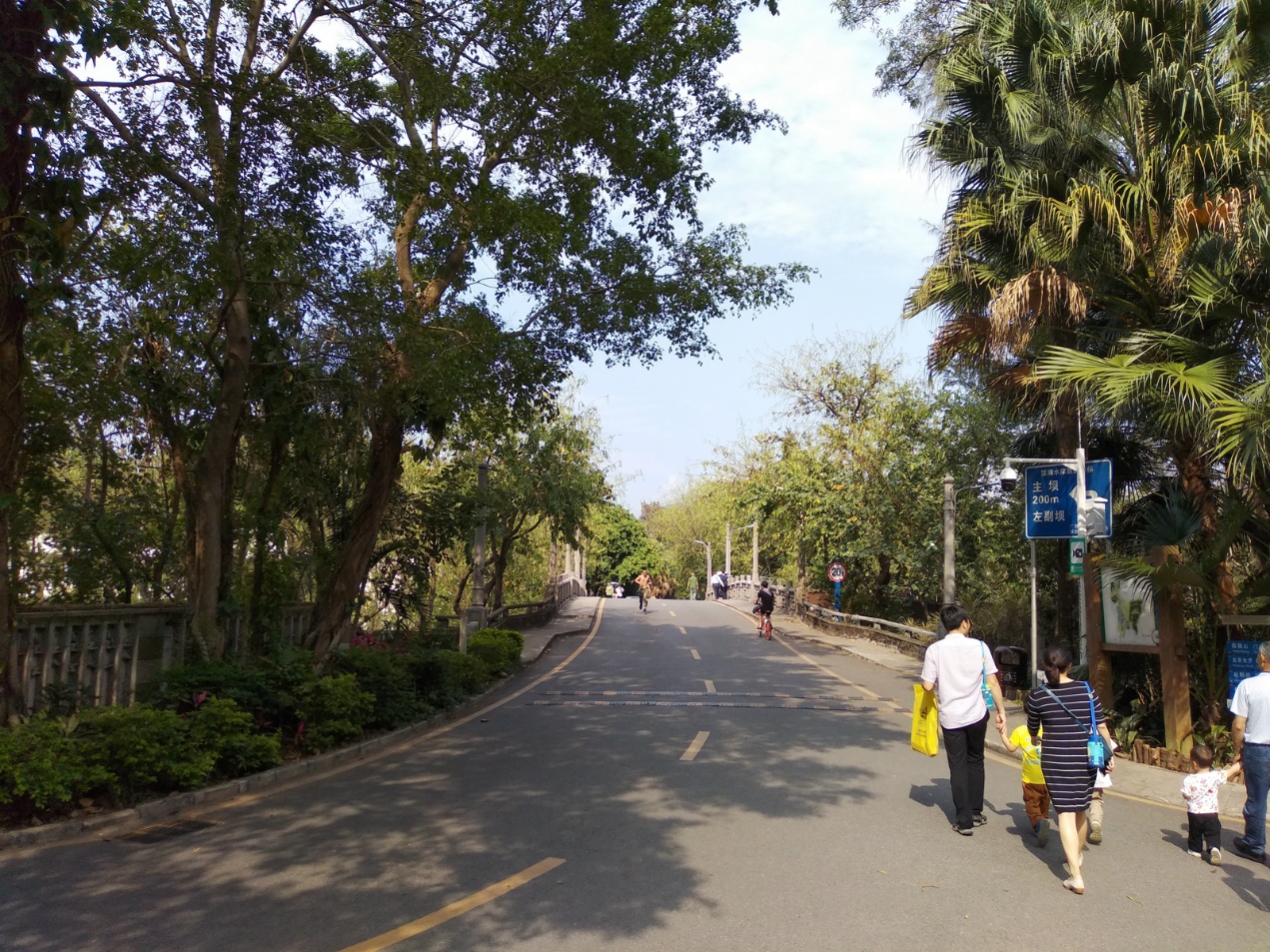 坚果3发布会刘海屏视频,坚果3现在值得买吗