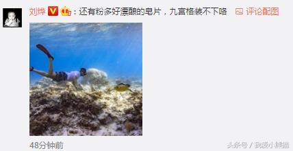 刘烨成为公益大使一本正经的发微博看他评论又不淡定了