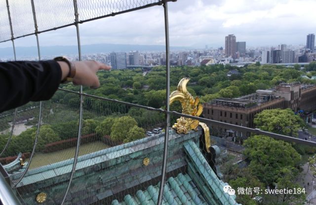 京都大阪奈良旅游游记,暴走大阪京都