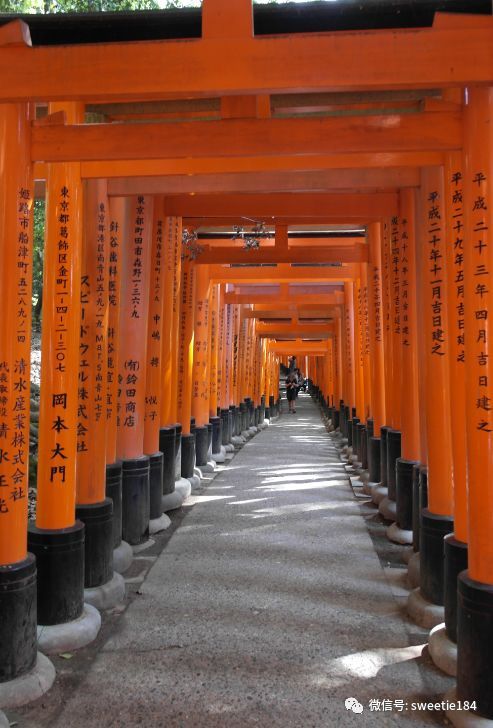 京都大阪奈良旅游游记,暴走大阪京都