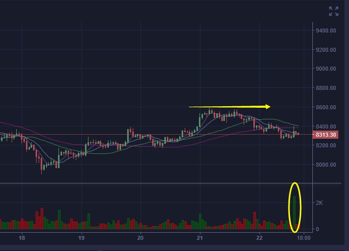 平台币大涨的信号,平台币为什么会大跌