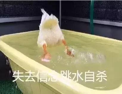 南京小升初试卷难易程度,南京小升初择校试题