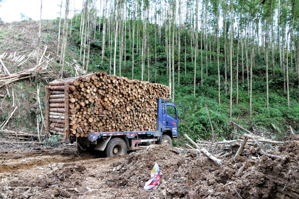 不怕陷车的履带车,不怕陷车