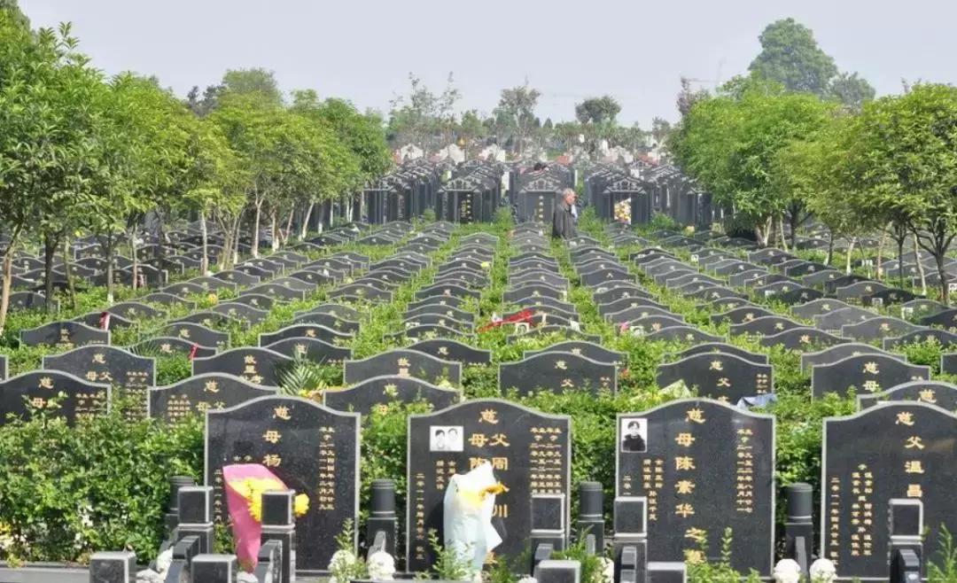 菏泽24小时殡葬服务费用,菏泽殡葬补贴