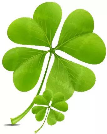 「喜报」祝贺!延平中学团委荣获“泉州市五四红旗团委”称号