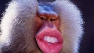 绝地求生:玩家无奈被击中*体下**,网友:一石二鸟,看着蛋疼!