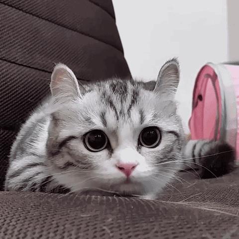 愿你善良自带锋芒温柔且有力量,愿你温柔而坚强善良且有锋芒