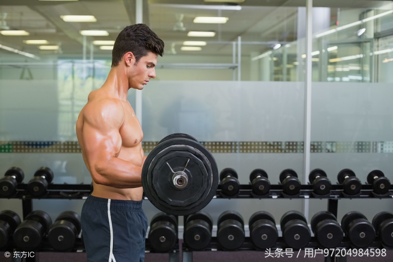 新手健身一周训练计划哑铃图,新手健身一周训练计划入门教程