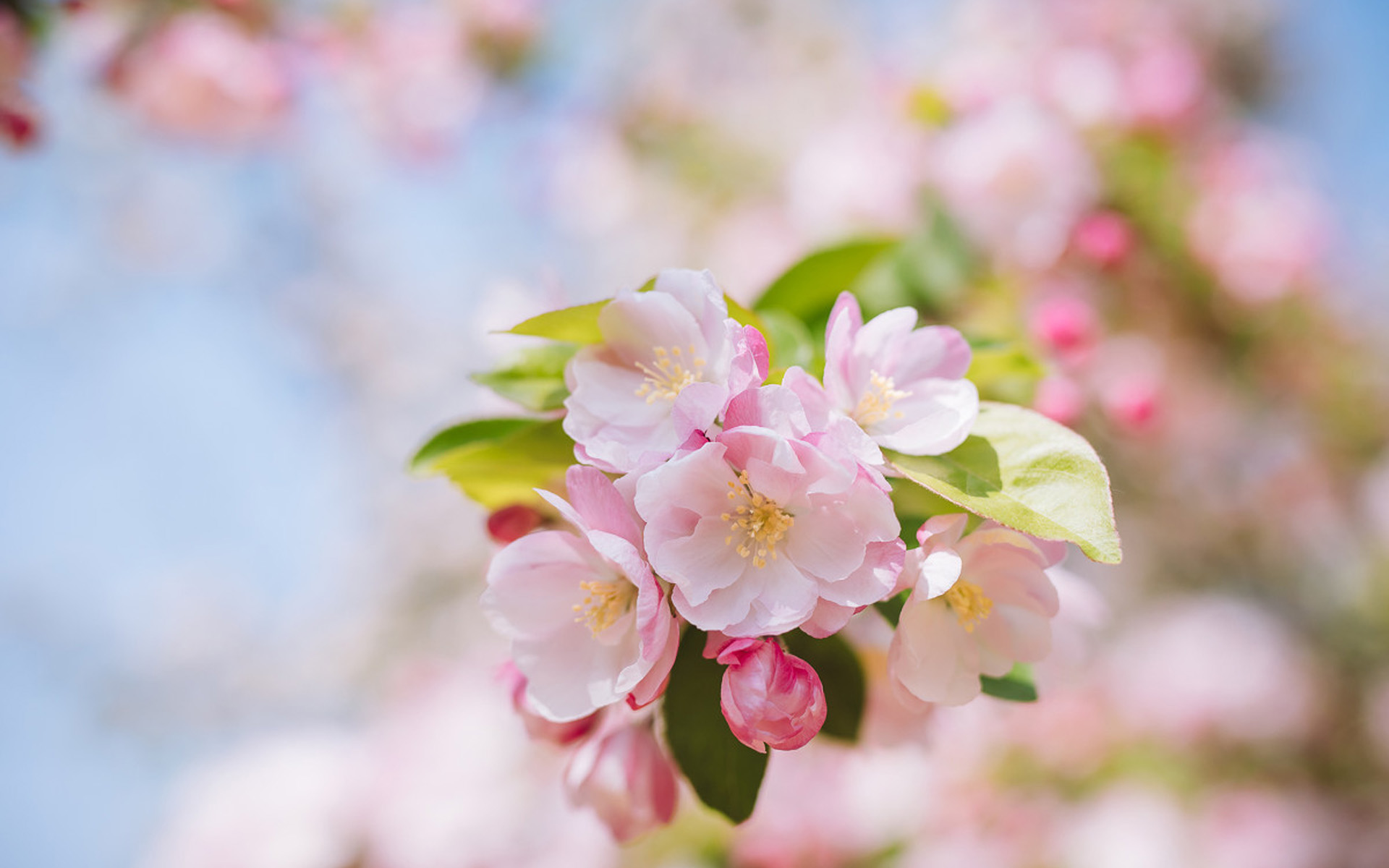 所有的浣溪沙苏轼,苏轼浣溪沙文章400字