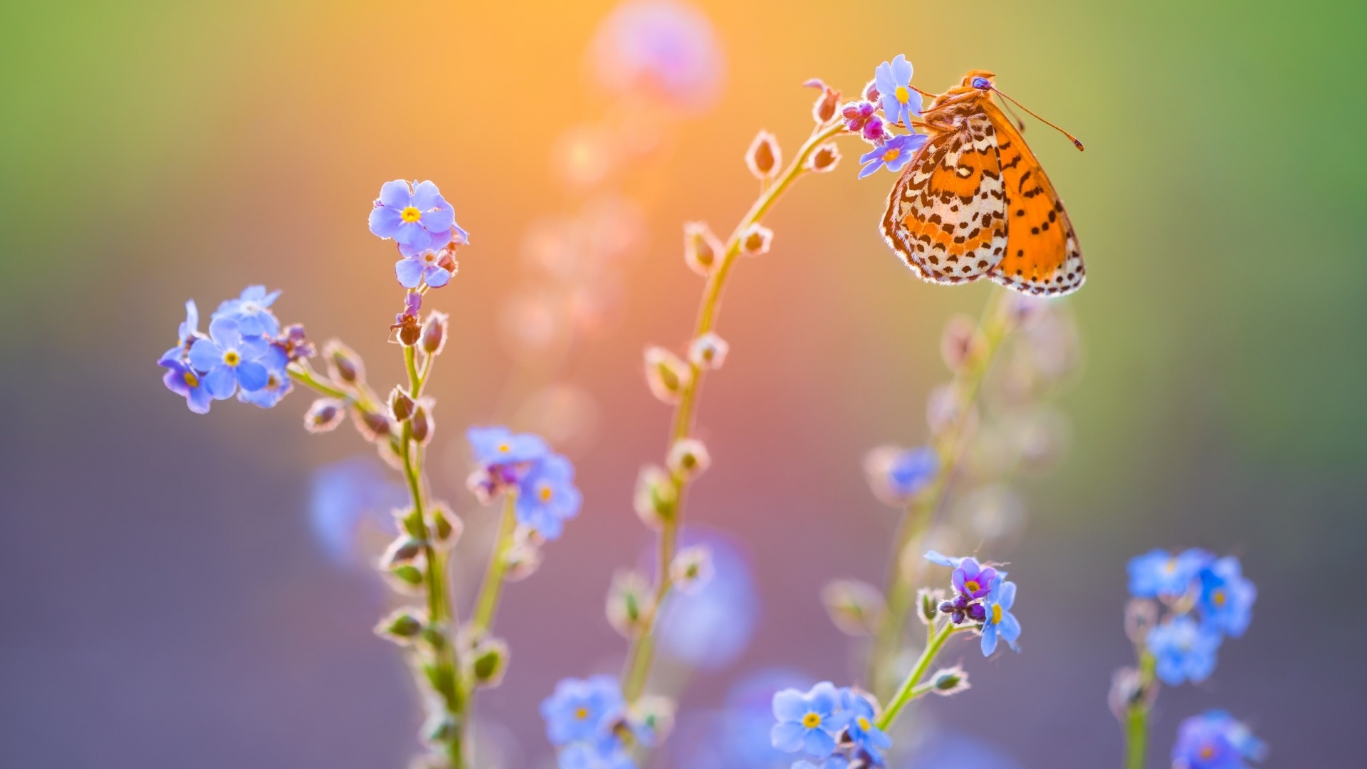 所有的浣溪沙苏轼,苏轼浣溪沙文章400字