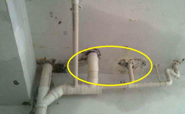 卫生间主排水管周围一圈漏水,卫生间排水管三通漏水怎么办