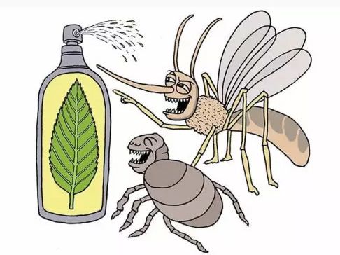 夏季驱蚊最有效果的方法是什么,夏季驱蚊小妙招爆款