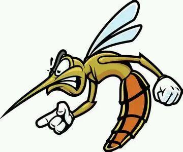 夏季驱蚊最有效果的方法是什么,夏季驱蚊小妙招爆款