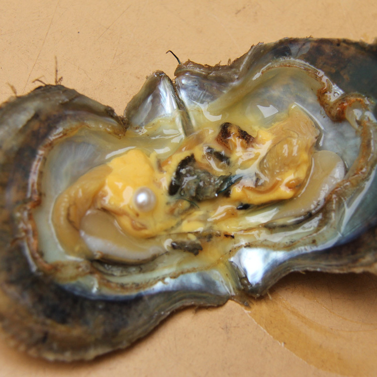 日本akoya有黑珍珠吗,akoya海水珍珠糖果