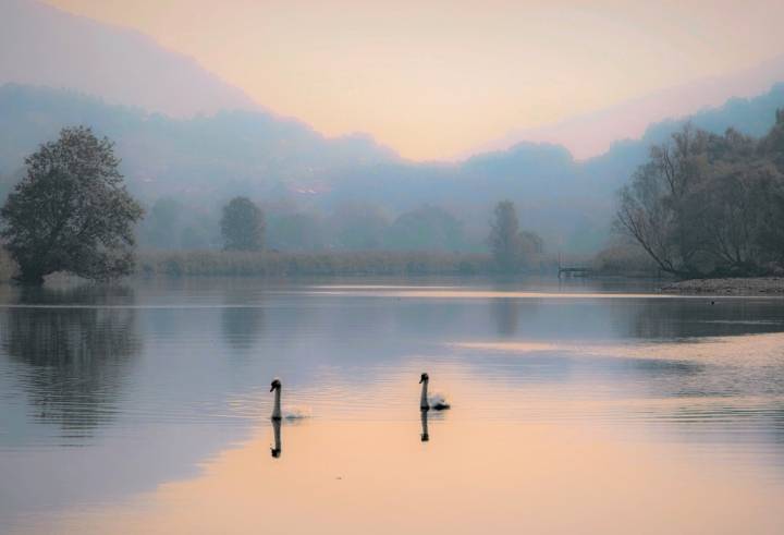 写出关于描写黄河的古诗词,描写黄河的古诗词有哪些