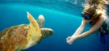 这有一份旅游攻略请查收,泰国小众岛屿