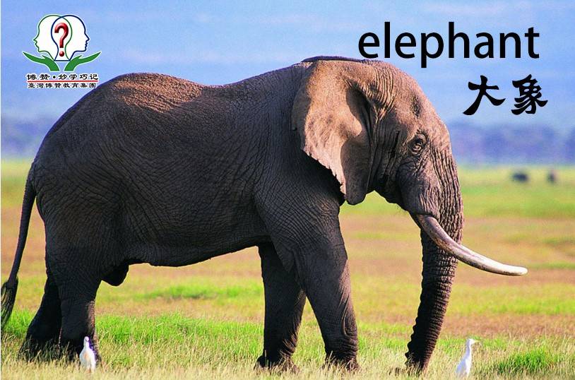 博赞教育2017,博赞教育快速记忆法