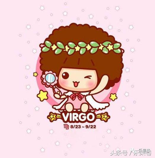 十二星座“老婆使用前须知手册说明书”