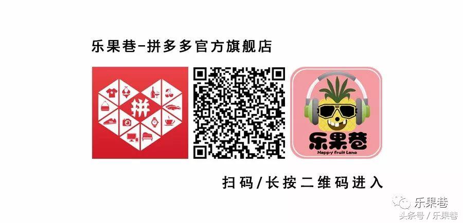 十二星座“老婆使用前须知手册说明书”