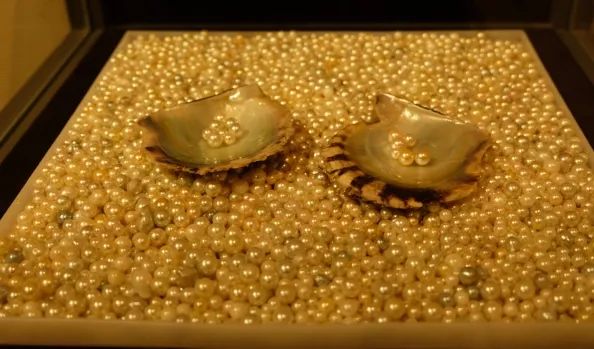 王珠宝寻宝日记：探访珍珠小城日本三重县鸟取市