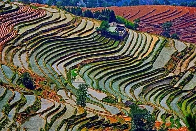 四川适合避暑的旅游胜地,四川空气质量最好的旅游地方