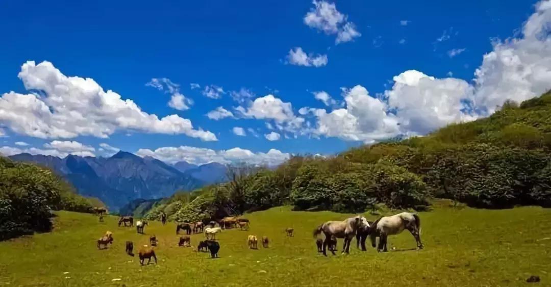 四川适合避暑的旅游胜地,四川空气质量最好的旅游地方
