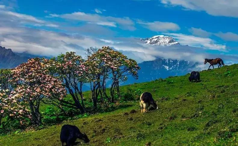 四川适合避暑的旅游胜地,四川空气质量最好的旅游地方