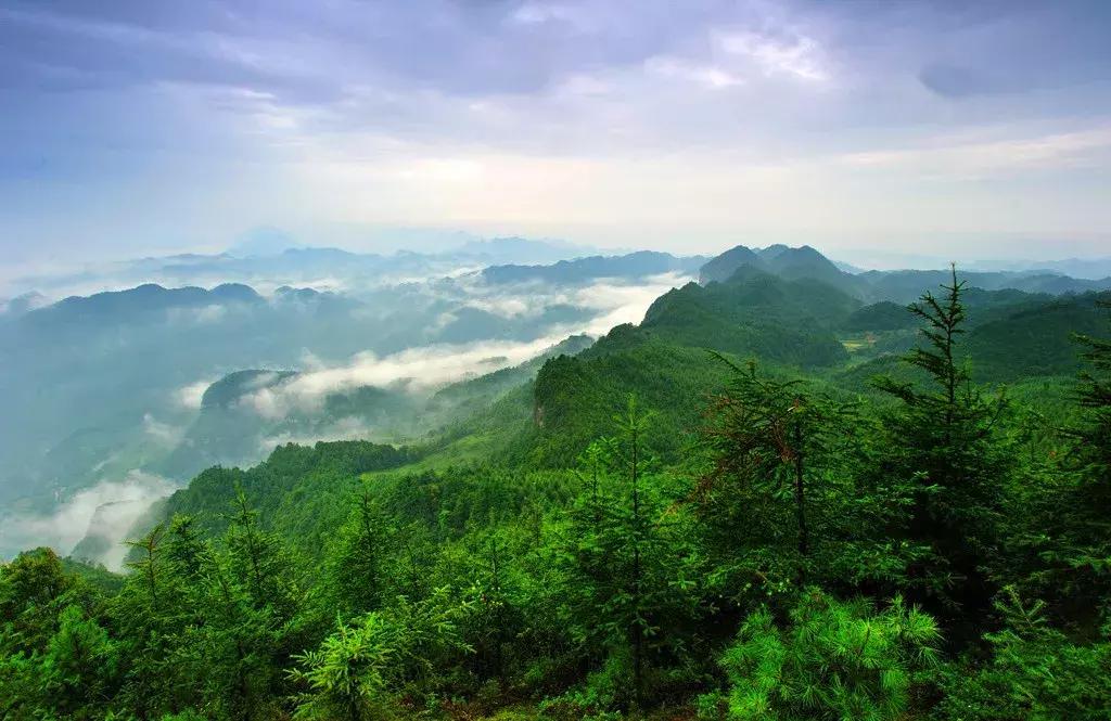 四川适合避暑的旅游胜地,四川空气质量最好的旅游地方