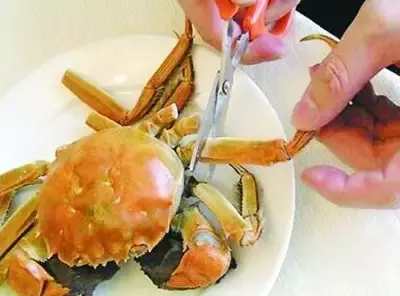 孕期做过最危险的事,孕期做了伤胎的事