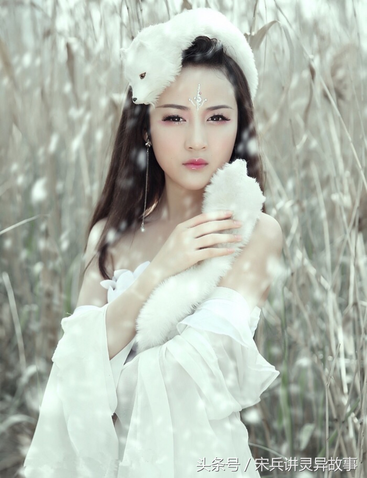 狐狸渡劫的真实故事,狐狸渡劫的民间故事