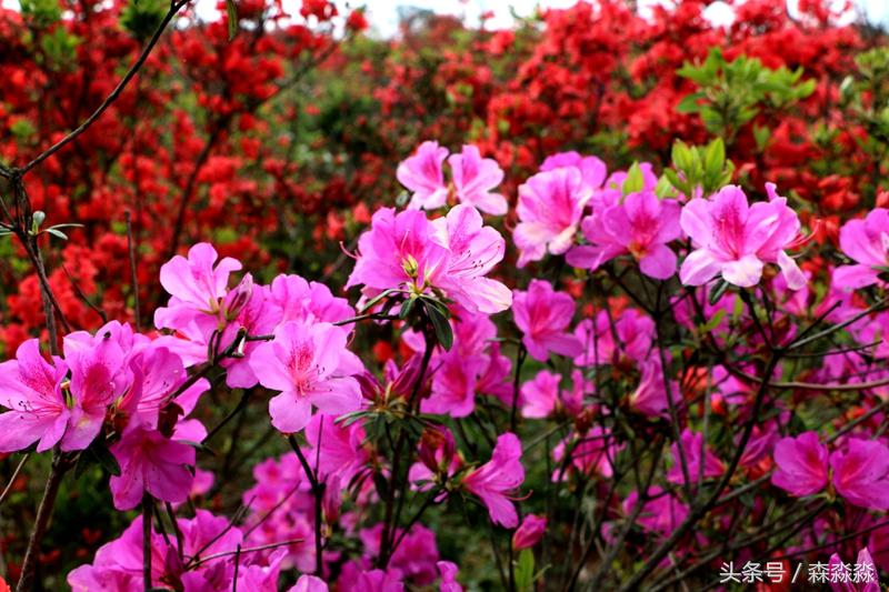 火山爆发后形成的著名景点,火山喷发会形成哪些景点
