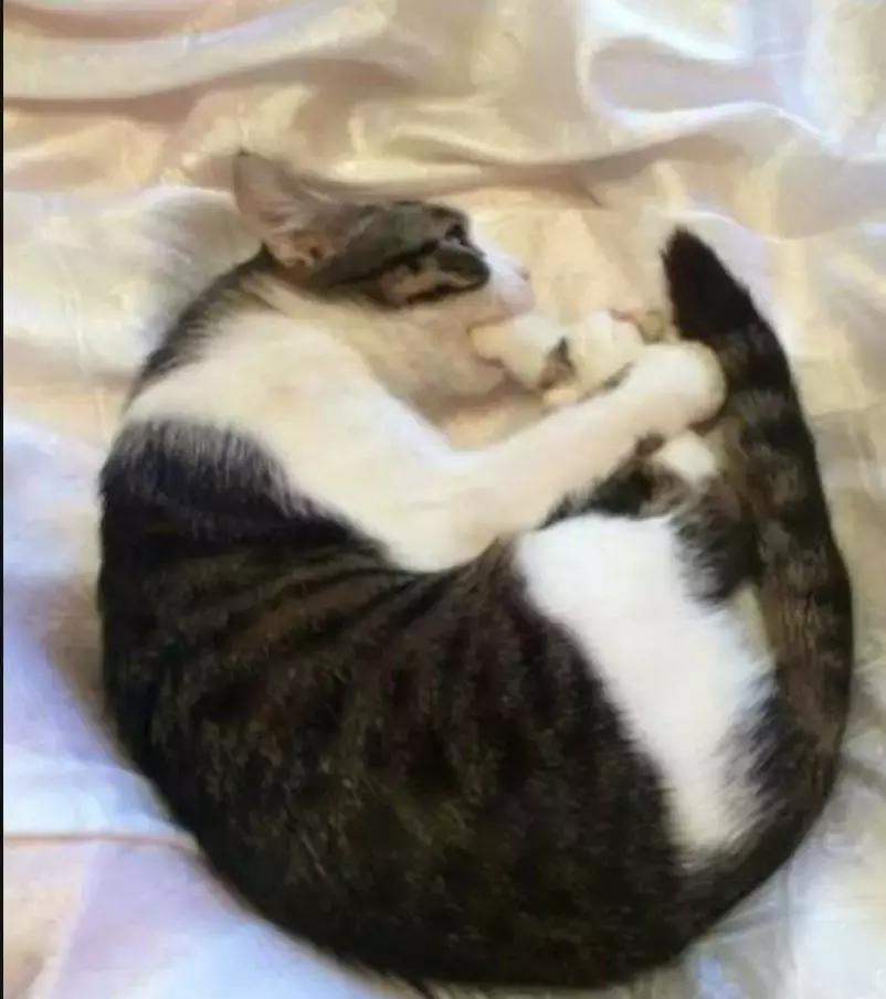 答应我,这个夏天一定不要轻易尝试这种裤子