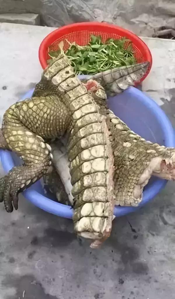 最可怕的代购骗局,揭露各种海外代购真相