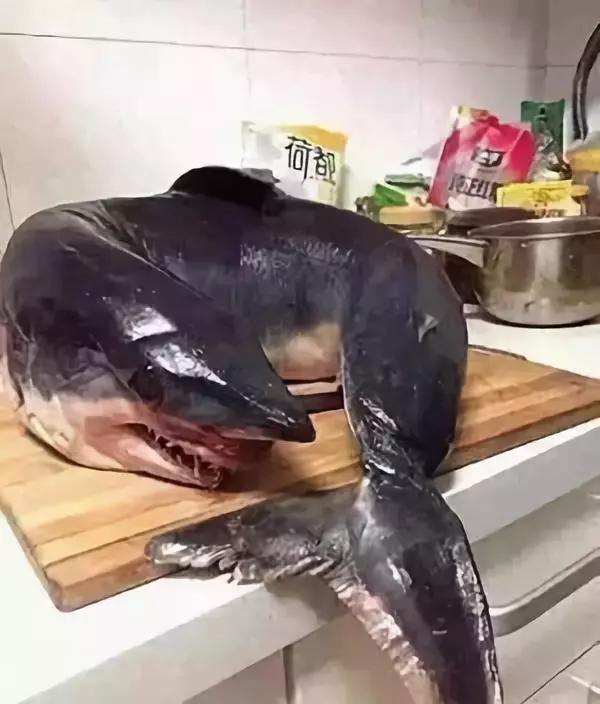 最可怕的代购骗局,揭露各种海外代购真相