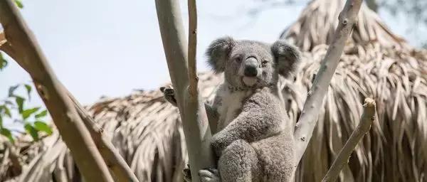 广州很好玩的乐园,广州最好玩的游乐场项目