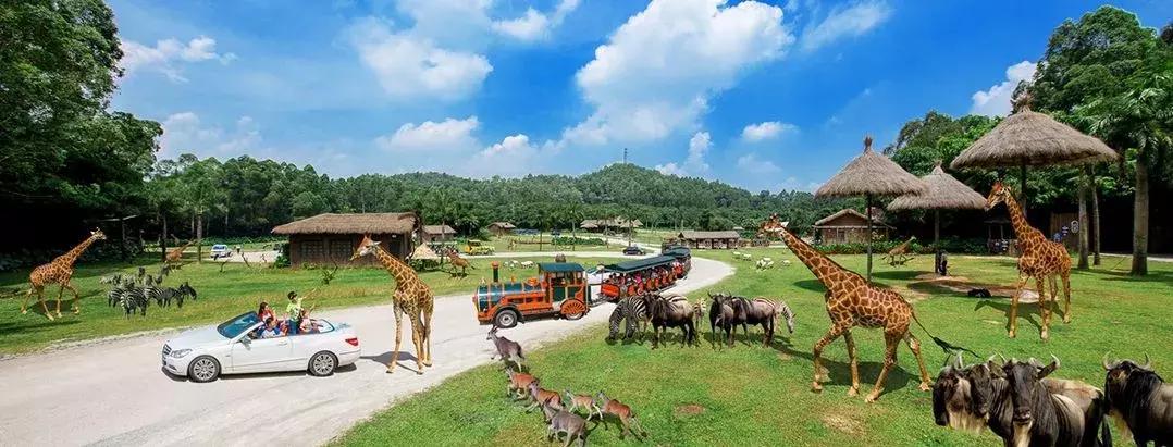 广州很好玩的乐园,广州最好玩的游乐场项目