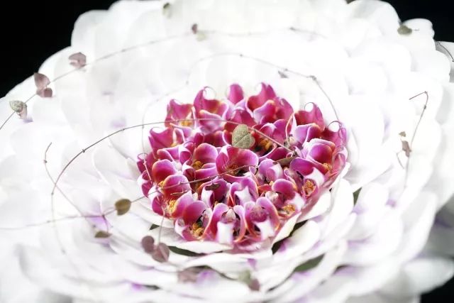 第十六期“眼界论坛”精彩亮相！｜爱花之人，必是情愫满满